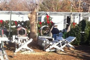 Grow Profits: Sorghum Mill Tree Farm Guide The Conscious Farmer | Sustainable Agriculture for a Healthier Planet Grow Profits: Sorghum Mill Tree Farm Guide | The Conscious Farmer | Sustainable Agriculture for a Healthier Planet