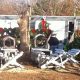 Grow Profits: Sorghum Mill Tree Farm Guide | The Conscious Farmer | Sustainable Agriculture for a Healthier Planet