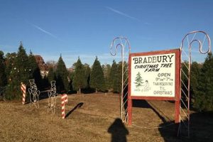Visit Bradbury Tree Farm: Your Holiday Tree Source The Conscious Farmer | Sustainable Agriculture for a Healthier Planet Visit Bradbury Tree Farm: Your Holiday Tree Source | The Conscious Farmer | Sustainable Agriculture for a Healthier Planet