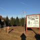 Visit Bradbury Tree Farm: Your Holiday Tree Source | The Conscious Farmer | Sustainable Agriculture for a Healthier Planet