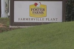 Union Parish: Farm Bureau Farmerville LA | Guide | The Conscious Farmer | Sustainable Agriculture for a Healthier Planet