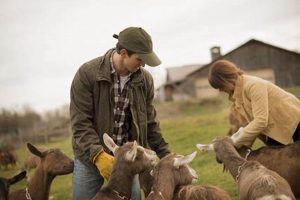 Best Hobby Farm Animals: Care & Breeds for You! | The Conscious Farmer | Sustainable Agriculture for a Healthier Planet