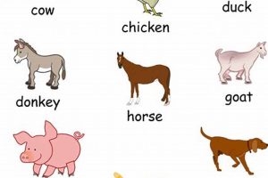 Free Farm Animal Printables: Fun & Learning! | The Conscious Farmer | Sustainable Agriculture for a Healthier Planet
