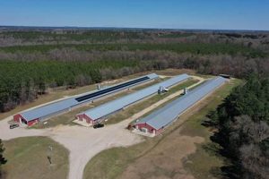 Local Farm Bureau Pageland SC: Resources & Insurance | The Conscious Farmer | Sustainable Agriculture for a Healthier Planet