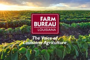 Louisiana Farm Bureau: A History of Growth &amp; Impact | The Conscious Farmer | Sustainable Agriculture for a Healthier Planet